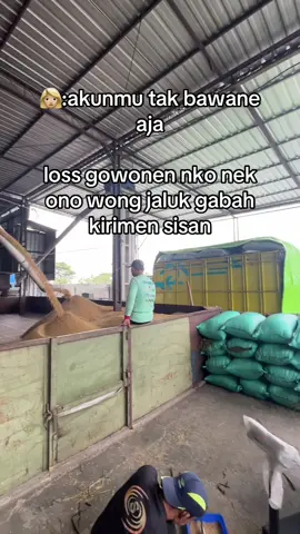 kirimen sisan gabahe #gabahbalap🌾 #petanimuda 