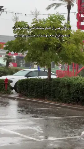 اللهـم قـلباً مُطمئنً لا يَـؤذيه بــلاءْ الدّنـيا .🖤#شلوم_بدويم📮 #عاده_نشر_فيديو🔄 #اكسبلورexplore #בארשבע #virs  @🪫| באר亗שבע ♩ 