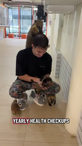 Cutest Pet Café Experience in Bangkok! 🐾☕️ #bangkok #thailand #fyp #animals 