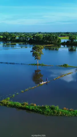 #canhdepmientay #chill 