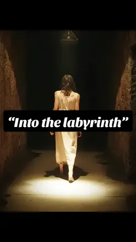 Into the labyrinth#movie #fyp 