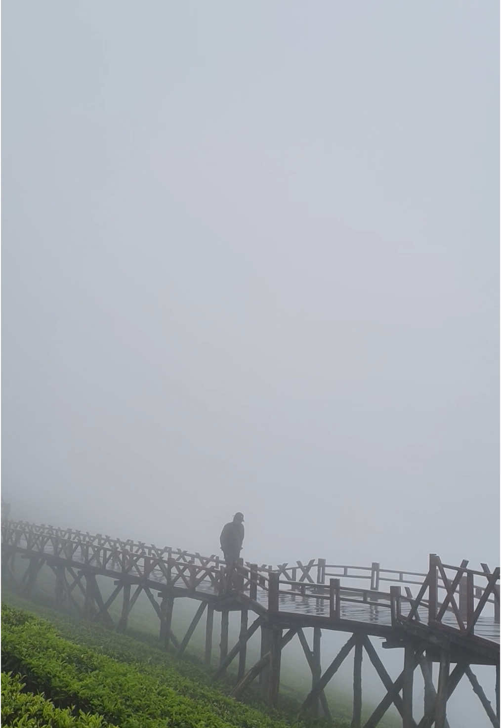 Anchor no more — I’m learning to drift. #cinematic #fyp #novoamor #anchor 