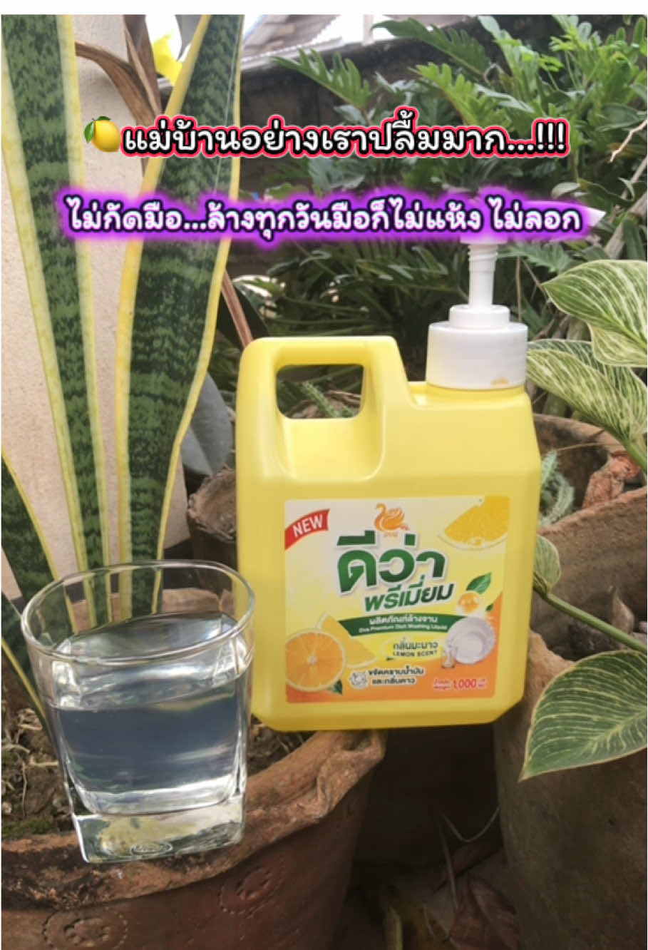 #น้ำยาล้างจานดีว่าพรีเมี่ยม #น้ำยาล้างจาน #ล#ล้างจานสะอาดคราบมันหลุดไว #ถูกและดี 