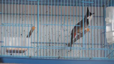 Bổi tàu rồi 😂😂