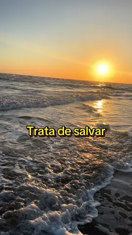 Como dijo canserbero “Disfruta mientras puedas “ #canserbero #vida #music #delavidacomounapelicula 