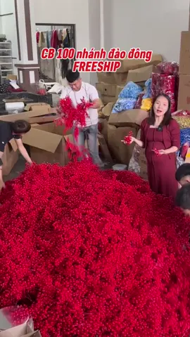 CB 100 nhanh đào đông tiktok freeship tận nhà #settrangtritet2026 #daodongdo12nhanh #hoatet #trangtritet #thapbanhtet 