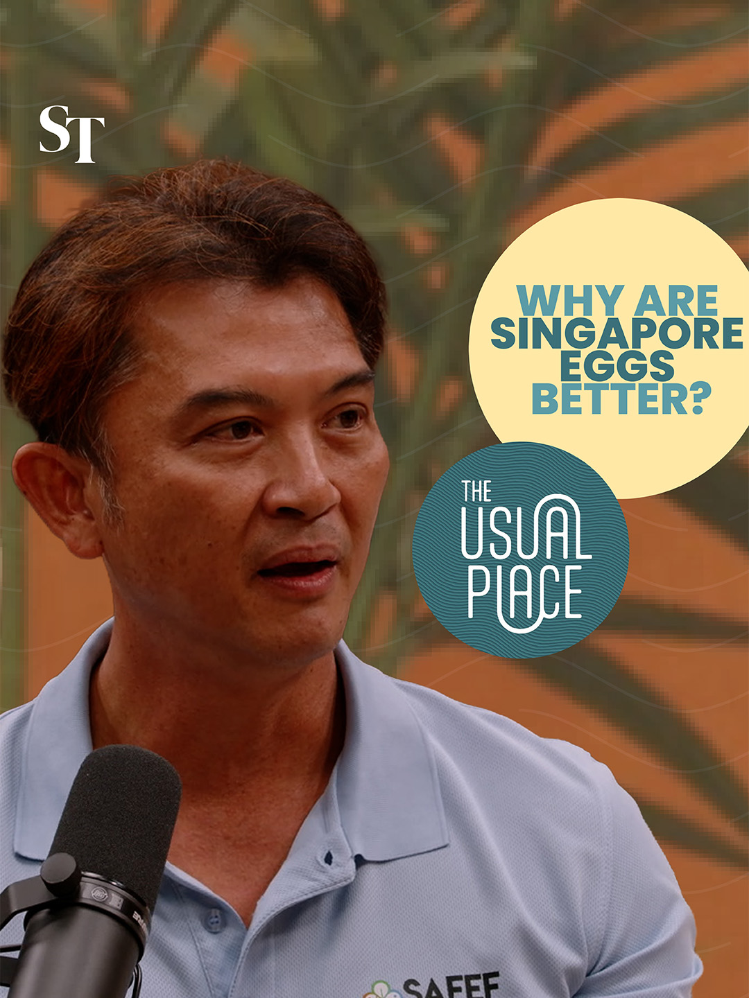 Local egg farmers continue to “egg-cell” in production, which Singapore Agro-Food Enterprises Federation CEO Ken Cheong credits to strong safety and quality standards.🥚 He shares more on The Usual Place podcast. #egg #eggs #farmlife #farming #localproduce #produce #greens #sgnews