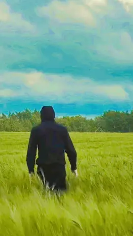 Like & Follow #viral #fy #motivation 