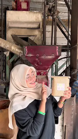 Penasaran gak sih, gimana gabah (padi) yang baru panen bisa jadi beras putih yang kita makan setiap hari? 🤔 Tonton sampai akhir! Kita bongkar prosesnya, mulai dari mesin pemecah kulit, mesin sorter, sampai proses rahasiakita: Pengeringan pakai OVEN! 🔥                              💡 Kenapa Oven? Karena buat beras organik, menjemur itu bikin kualitas gampang turun! Oven bikin beras kita lebih awet dan nutrisinya tetap terjaga maksimal! Itulah kenapa #BerasOrganik kita beda! Gak mau ribet? Yuk, langsung cobain beras premium kita! 👇 #Beras #BerasOrganik #PenggilinganPadi #RiceMill #ProsesBeras #KualitasTerbaik #PetaniMuda #TikTokEdukasi #FoodProcess