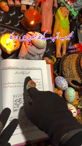 #cockatiels #ckatiels #cockatiels #cockatiels 