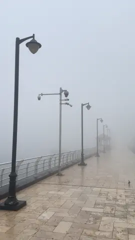 #البصره #شط_العرب #شتاءالبصرة #لايكات #👀🔥 