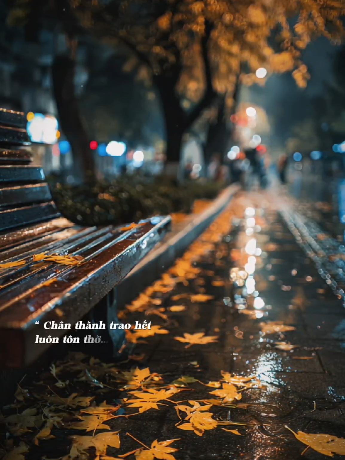 Người năm xưa nói yêu đâu rồi..! #nhachaymoingay #nuongchieunenmatem #Bkmuzic 