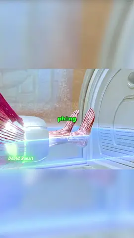 Nguyên tố thứ 5 p1 #film #phimhay #movies #fyp #davidsunsil 