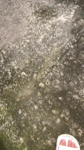 😻 #samlongstyle🇹🇭 #ndeprokstyle #jupiterzganteng 