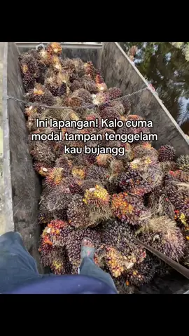 🥶#kuliayah🌴⚡ #sawitayah #fotolive #fypviralシ 