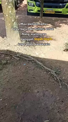 Ingah ingih koyo ayam kenek jalu gaes😜😂😂😂@arkaaaaaaa22 @abong043 @andrigondrong56 #mitrakargoindojaya😎 #fypシ #fypシ゚viral #pejuangrupiah #fyp 