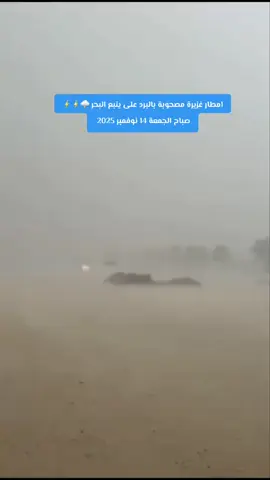 امطار غزيرة مصحوبة بالبرد على ينبع البحر ⛈⚡⚡ #السعودية #ينبع #المدينة_المنورة #الغربية 