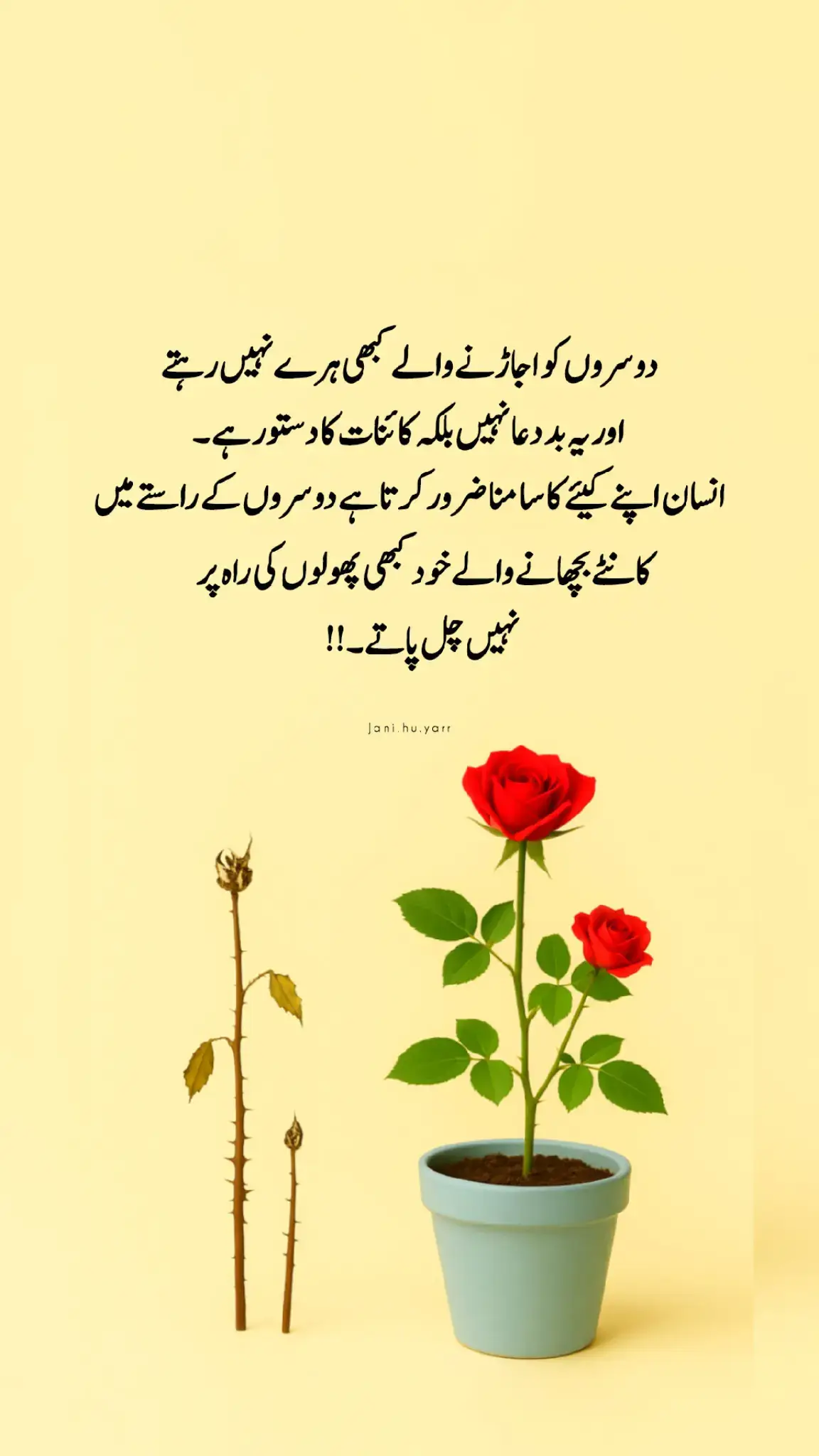 دوسروں کو بھی اجاڑنے والے کبھی ہرے نہیں رہتے اور یہ بد دعا نہیں بلکہ کائنات کا دستور ہے 