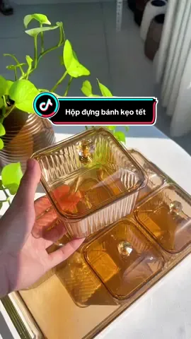 Sắm Tết dần đi các bác ơi, hộp đựng bánh kẹo Tết bằng mica, xinh lắm ạ #comnha #tet2026 #hopdungbanhkeotet #banhkeotet #xuhuong 