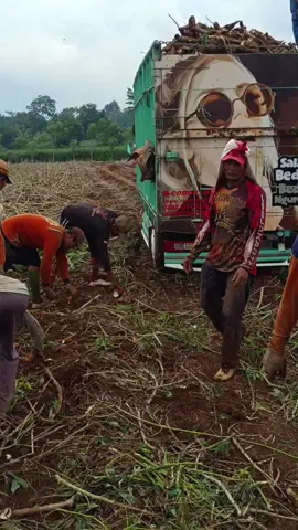 Embuhhh embuhhhh#pesonabautlimo #fypシ゚viral #fypppppppppp