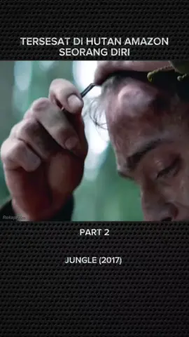 part 2 tersesat dihutan paling lebat dan luas didunia yaitu hutan Amazon #jungle #amazon #alurceritafilm #filmseru #fyp 