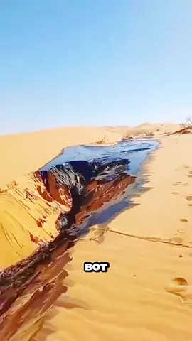 🤩 Le Voyage Fascinant du Pétrole Brut! ⛽️✈️ ​Découvrez l'incroyable transformation du pétrole brut en produits essentiels de notre vie quotidienne! 🖤 ​Tout commence par l'extraction du pétrole de la terre, cette huile noire si précieuse. Ensuite, il est chauffé à une température impressionnante d'environ 370^\circ \text{C} et envoyé dans une colonne de distillation spéciale. ​À l'intérieur, le pétrole se vaporise. Les composés plus légers s'élèvent, tandis que les plus lourds restent en bas, créant différentes couches de produits: ​Gaz de pétrole (en haut) : Utilisé pour remplir les bouteilles de gaz. 💨 ​Essence (Gasoline) : Pour nos voitures! 🚗 ​Naphta : Essentiel pour la fabrication des plastiques (d'où l'importance du recyclage! ♻️). ​Kérosène : Le carburant des avions. ✈️ ​Gazole (Diesel) : Alimente les camions, bus et certains véhicules. 🚚🚌 ​Mazout (Heavy Oil) : Utilisé comme combustible dans l'industrie et les centrales électriques. 🏭 ​Huiles lubrifiantes (Residual) : Réduisent la friction dans les moteurs. ✨ ​Bitume (Asphalte) (en bas) : Le composant de base pour la construction des routes. 🛣️ ​Chaque goutte de pétrole a un rôle à jouer! C'est une merveille de la chimie et de l'ingénierie moderne. ​#oil #petroleum #distillation #energy #engineering 