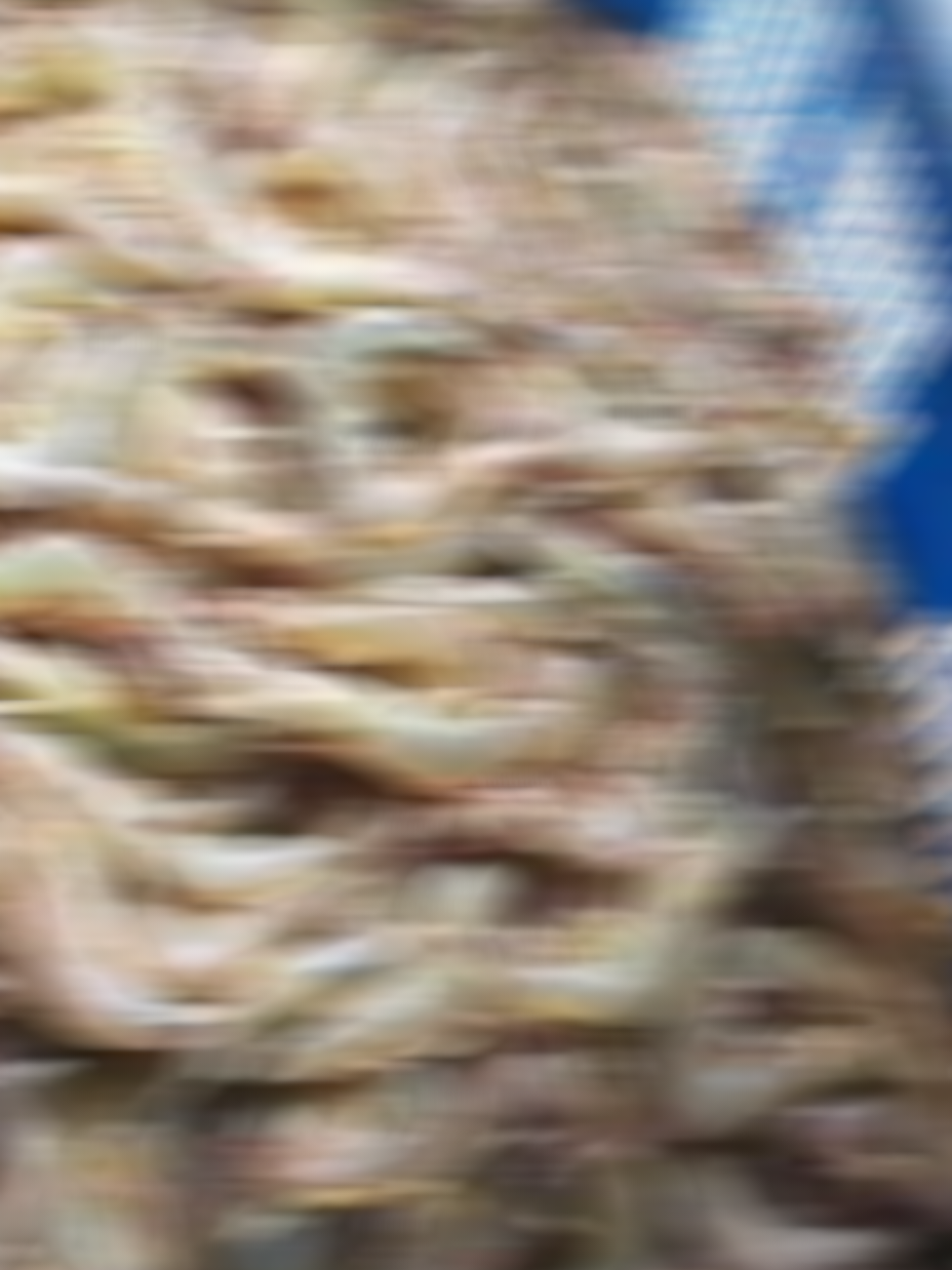 udang vanamie fresh#nytafppppppppppppppppppppppp #mpnfamily #mpnagency 