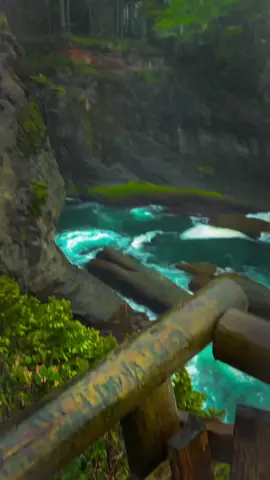 Cape Flattery📍 #nature #pnwlife #scenery #forest #earth 
