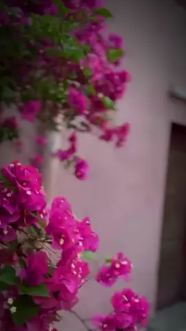 #الجمعة_صلو_على_نبينا_محمد 