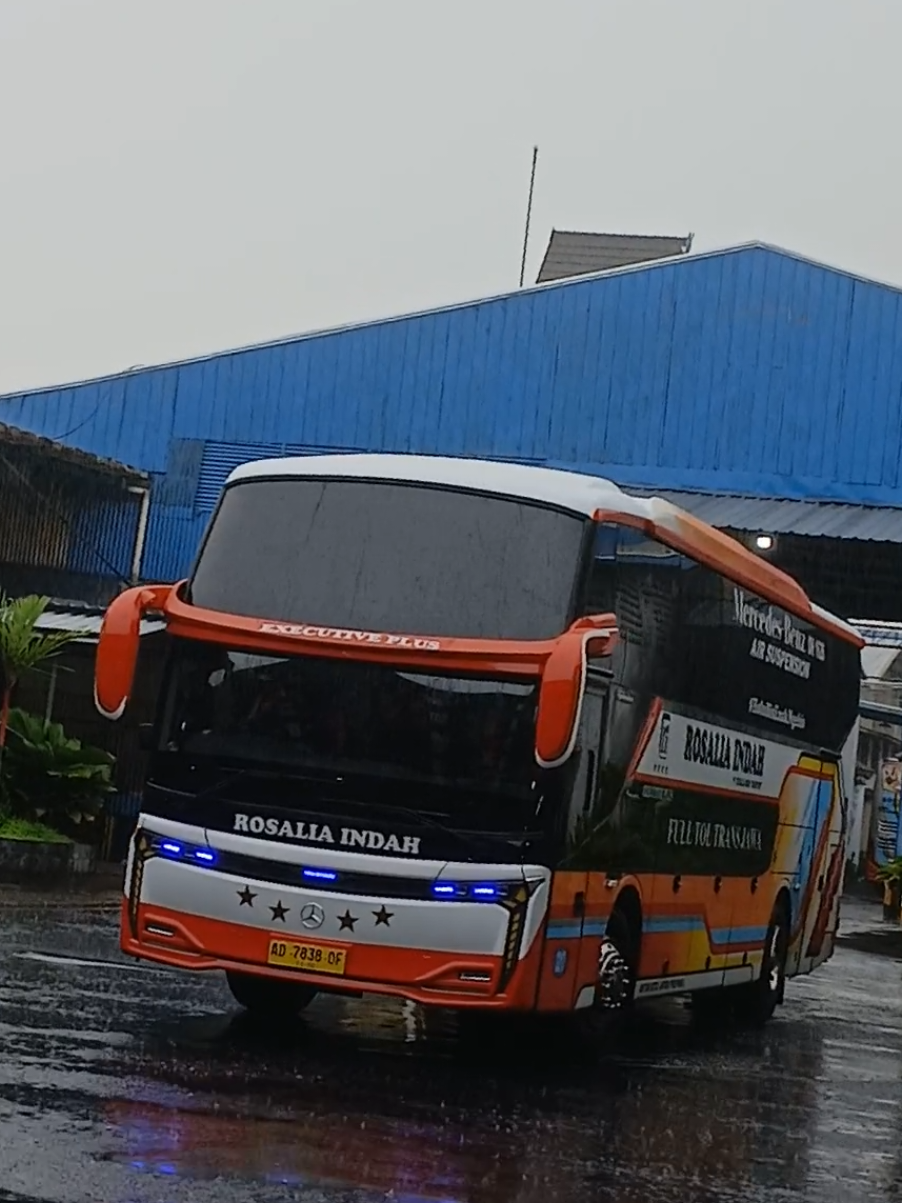 New Skylander R25 #rosaliaindahtransport #newarmadakaroseri #skylanderr25 #rosaliaindahmania #holobisenakngebis 