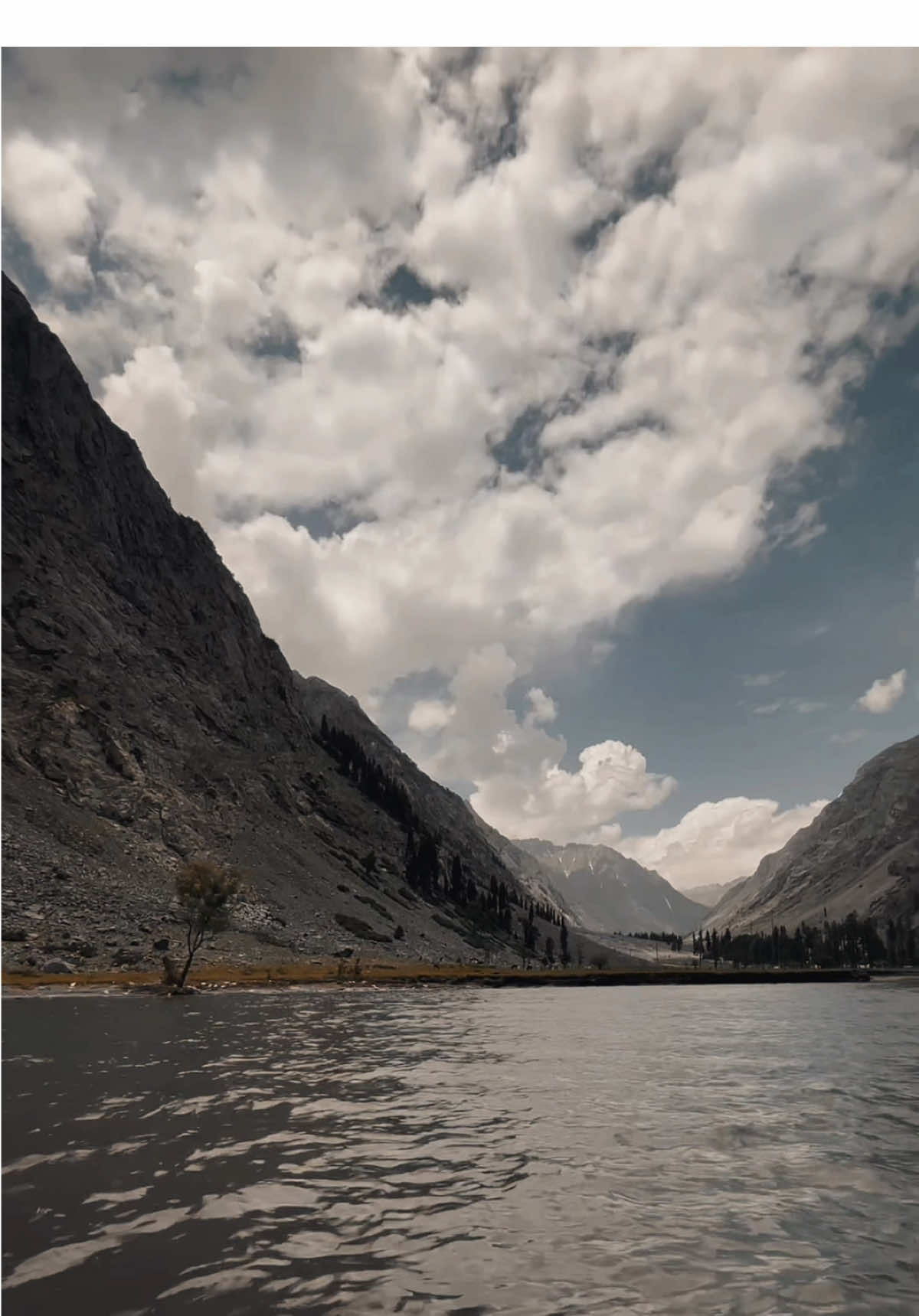 نہ می سوک وو نه می پکار شو ❤️‍🩹#poshtopoetry💔🥀💯 #zaryalkhan #for_you_page #viral_video_tiktok #CapCut 