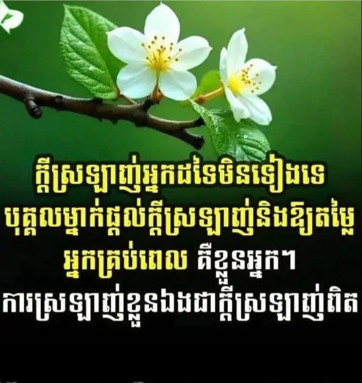 🌹🌹🌹🌹🌹🌹🫶🏽🫶🏽🫶🏽