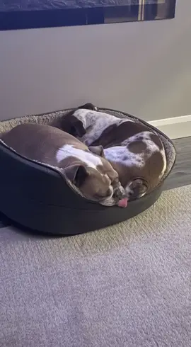 #funny #cười #kk #happy 