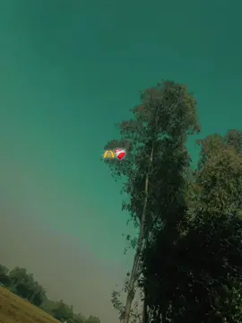 #fyppppppppppppppppppppppp #foryou #fyp 