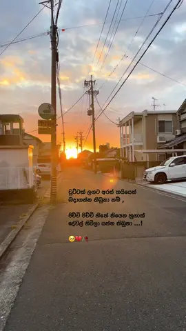 ම්ම්ම් … 🥺🤍🕊️  #fyppppppppppppppppppppppp #goviral #trending #foryoupageofficiall #1millionaudition #srilanka #japan 