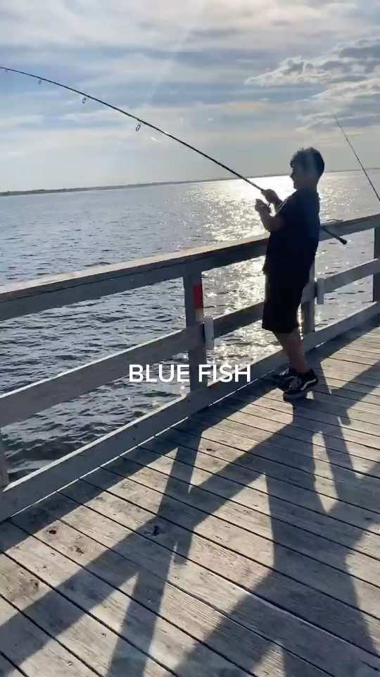 #PerfectMarcJacobs #fishing #fyp #foryoupage #SyncYourMiO #fishtokgang GOOD BOG SANTIAGO BLUE FISH HOOKED ON BUNKER