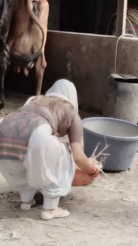 #fypシ゚viral #foryoupage #lasereyes #sshahzadi47 