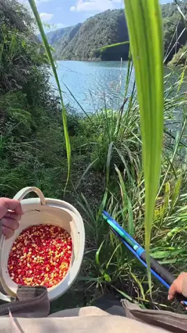 Là ai nói câu cá dễ nghiện...câu cả tháng có thấy nghiện đâu. #fishing #caucatunhien #xuhuongtiktok 