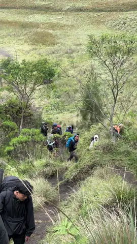 view ranu kumbolo #fyp #ranukumbolo #semeru 
