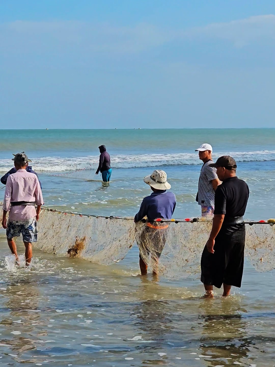 Cận cảnh các chú kéo lưới cá thụt lùi ở biển Mân Thái Đà Nẵng, biển đẹp chill quá ạ! #danang #biendanang #dulichdanang 