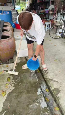 一次清洁，干净到令人尖叫！ 这款加厚钢丝去污刷，专治多年顽固污垢、青苔、黑斑、油污。 户外地面、走廊、地砖、石板路，一刷立刻见效！ 钢丝耐磨不生锈，刷头够重够硬，越刷越爽！ 家里有滑滑青苔？墙角旧污垢？用它一次清掉，一秒变新家！ ⸻ 🔥#清洁神器 #户外清洁 #家务好物 #去污工具 #日常好物推荐