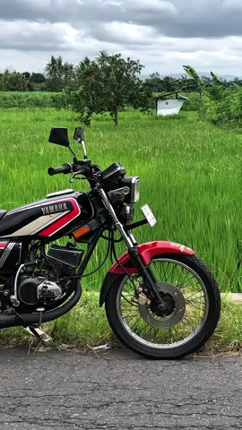 Pesona motor 10 jutaan #rxking #rxkingindonesia #rxkingcobra #rxkingbibirmerah #rxkingnusantara 