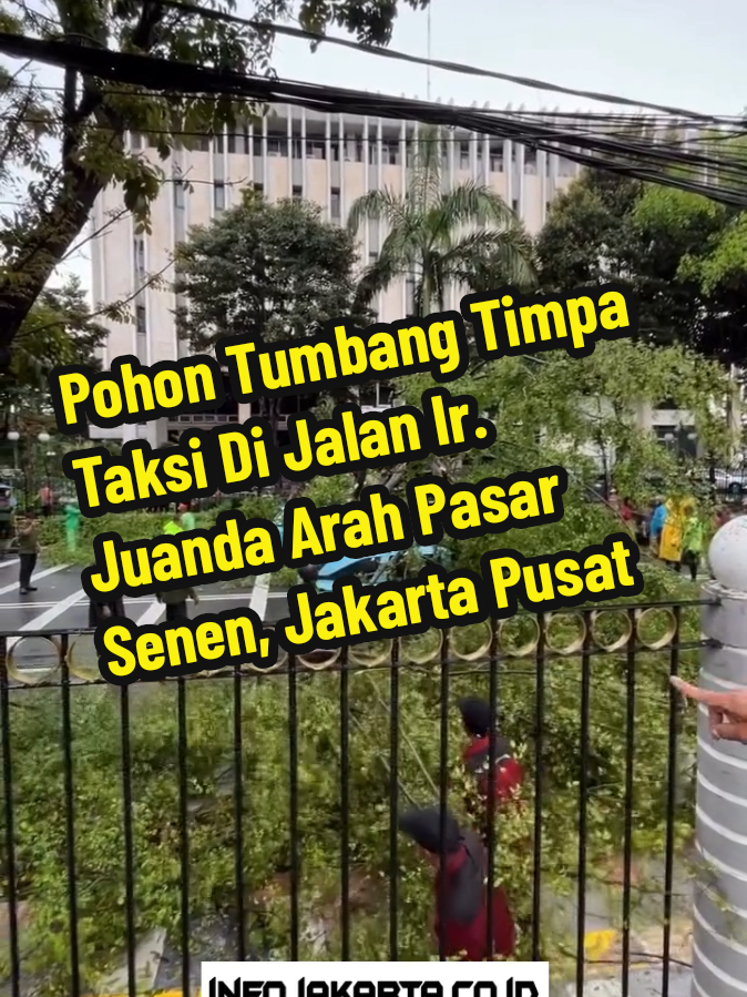Jumat siang, 14 November 2025, dilaporkan pohon tumbang timpa taksi Blue Bird akibat hujan deras di depan Kementerian Keuangan RI, Jalan Dr. Wahidin Raya arah Pasar Senen, Jakarta Pusat. Mohon berhati-hati. #kemenkeu #jakartapusat  ----- Ikuti akun kami untuk update informasi terkini Jakarta dan sekitarnya ----- 📹 : ig via mhmdyafi___