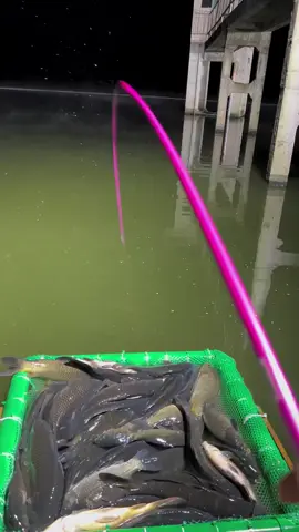 quấn ổ quá 😂#caucagiaitri #xuhuong 