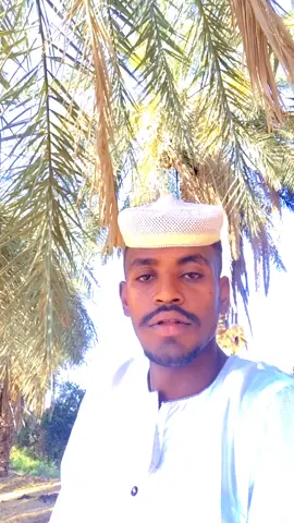 الدامر نهر النيل العالياب #الشعب_الصيني_ماله_حل #مليون_مشاهدة 