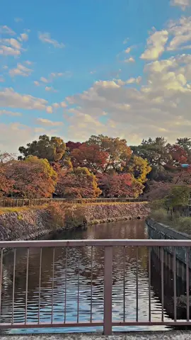 #japanvibes #fypppppppppppppppppppppppx #foryoupage 