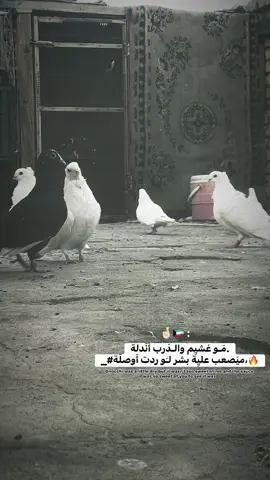 حلال 😂💎 #تصاميمي☝🏻🔥 #بيرغ #رافل_العمارة 