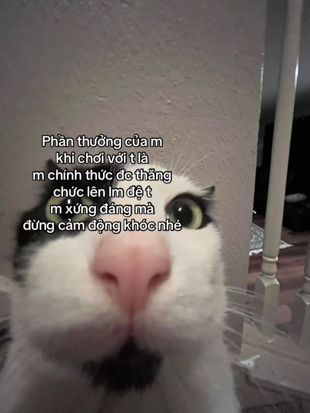 #xhuongtiktok #xhuong #TikTokAwardsVN #xhuongtiktok #ilovetiktok 