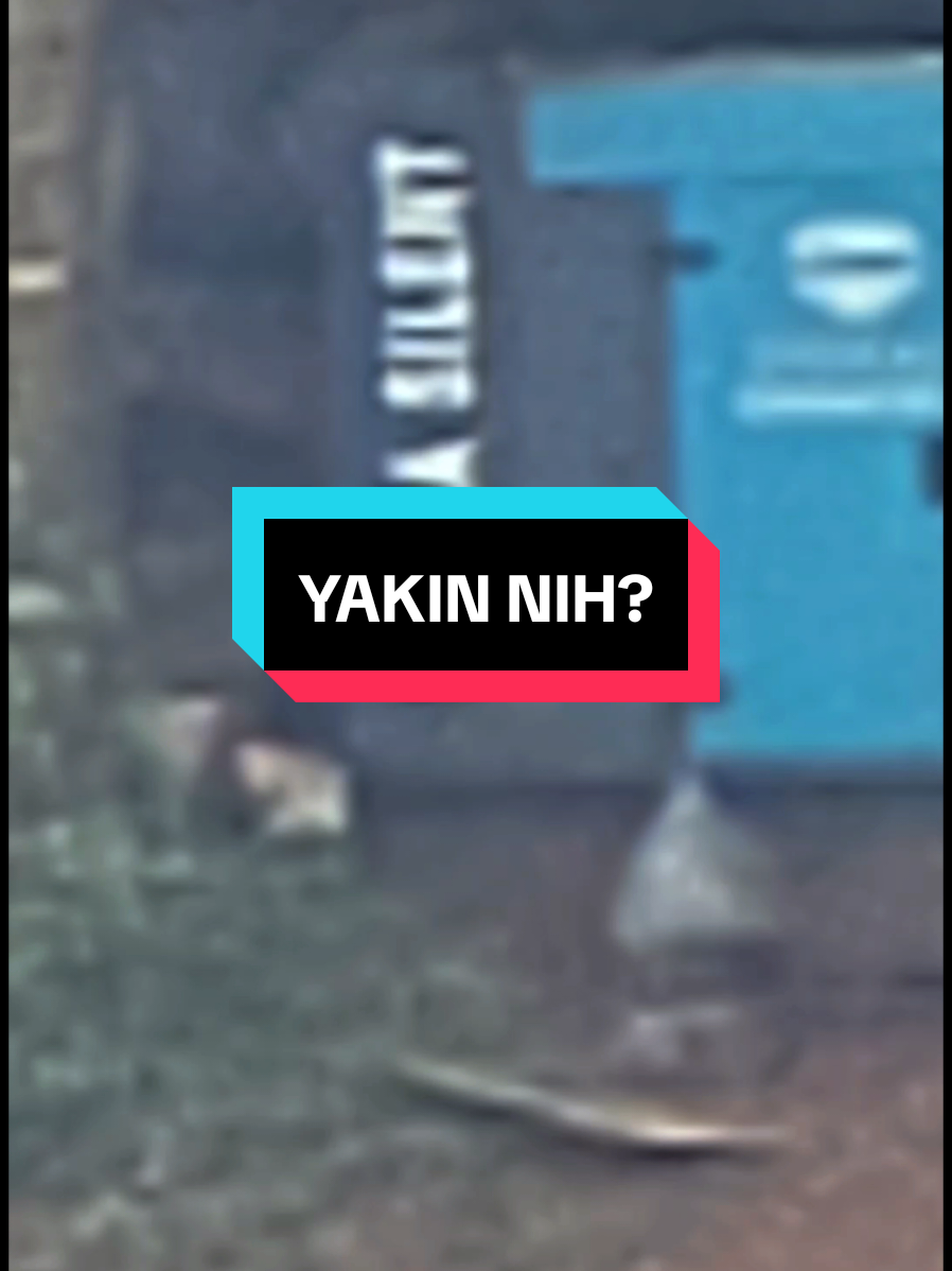 Membalas @marchojunai   Yakin mau diadu kameranya? 🤔 #S25Ultra 