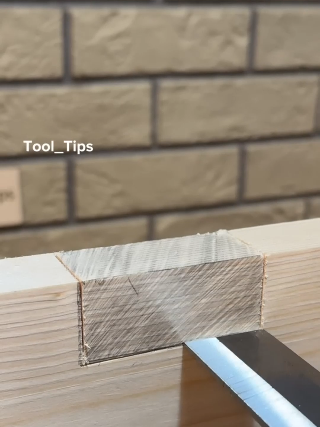 Sơ mi trắng gợi cảm